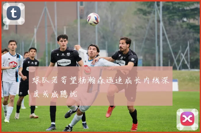 球队若寄望杨瀚森迅速成长内线深度或成隐忧
